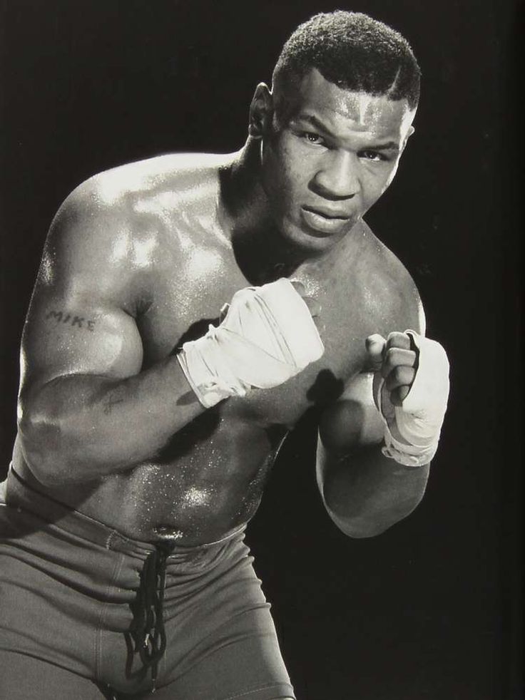 Read more about the article Fighter